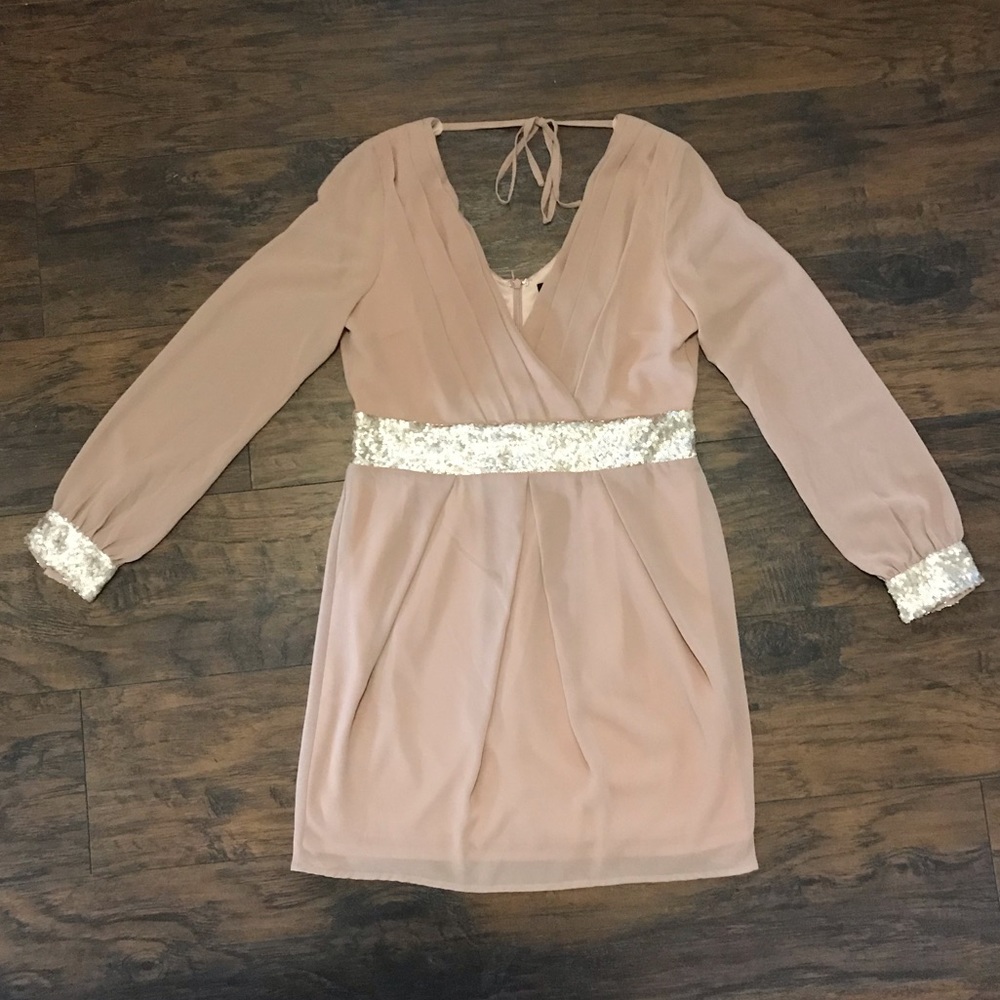 Blush/Dusty rose chiffon mini with sequin detail
